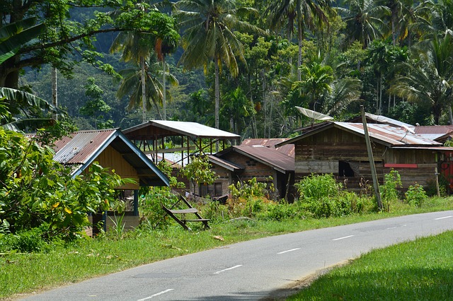 indonésie sumatra