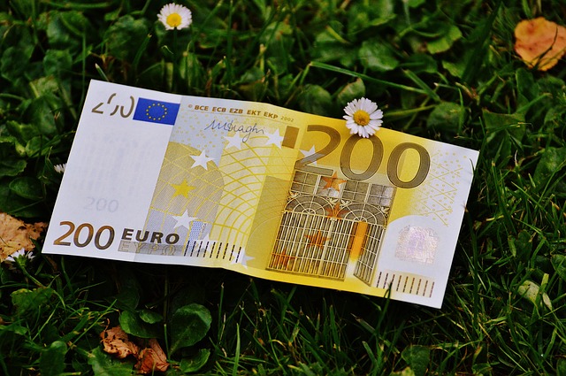 eura v trávě